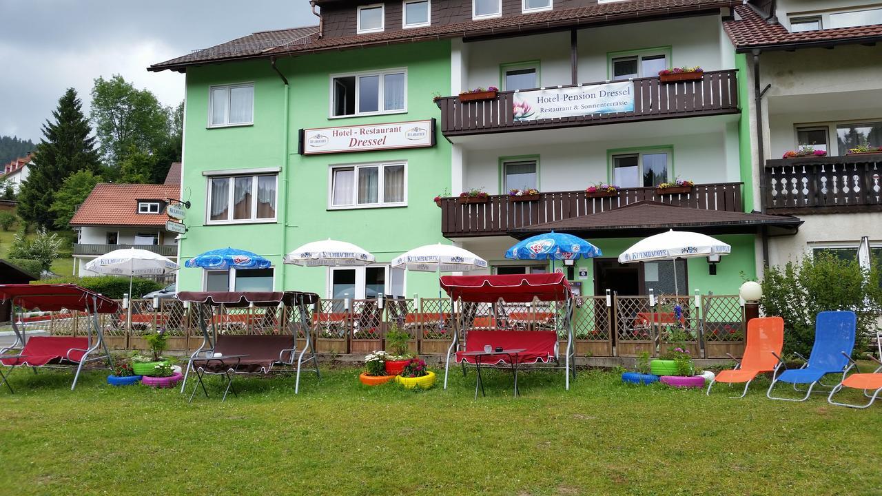 Hotel-Pension Dressel Warmensteinach Exterior photo